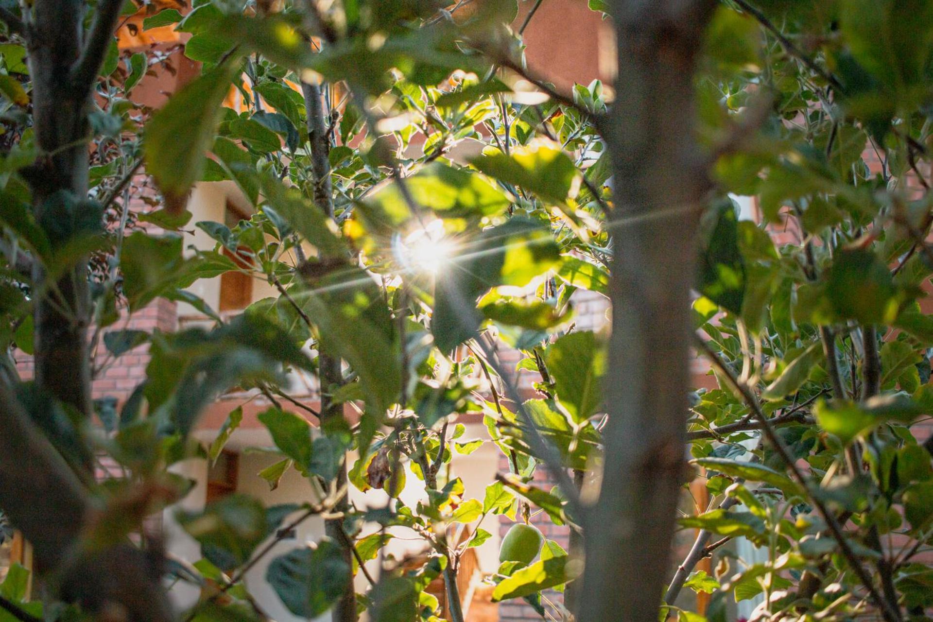 Allin Illary Eco Hospedaje Urubamba Exteriér fotografie