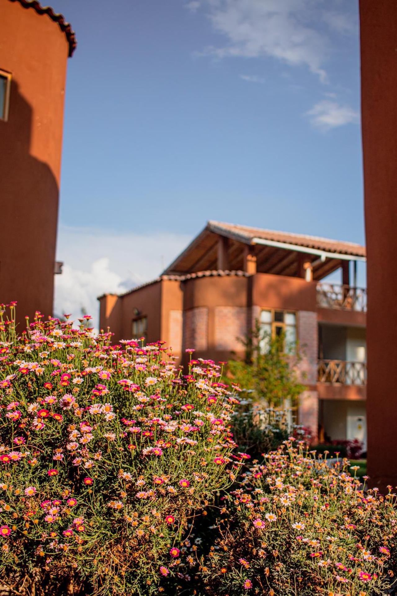Allin Illary Eco Hospedaje Urubamba Exteriér fotografie